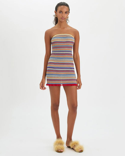 Devin Mini Dress Berry Fig