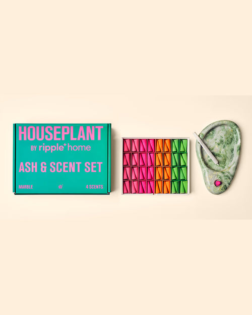 Houseplant 64 PC Droplets - Ash & Scent