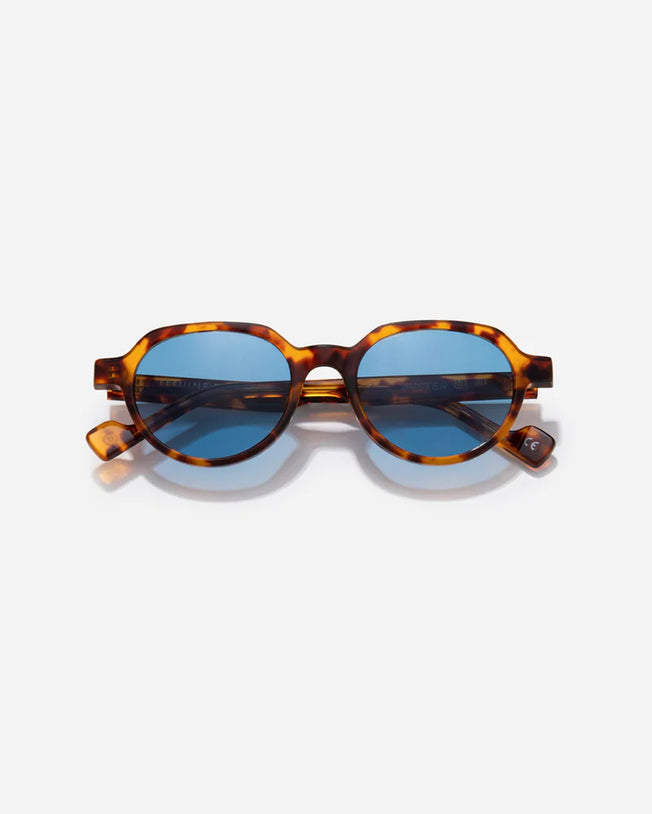 Mister C Tortoise Blue Sunglasses