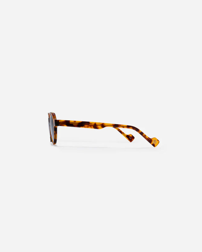 Mister C Tortoise Blue Sunglasses